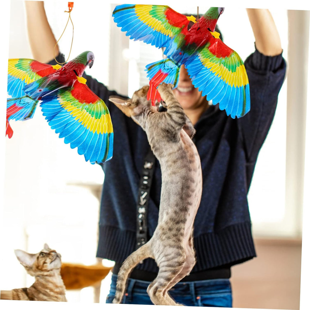 FlutterPaw™ – Der flatternde Vogel, der Katzen zum Spielen bringt!