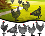 50% RABATT | HappyChicken - Hühner-Gartendekoration - Satz von 5 [Letzter Tag Rabatt]