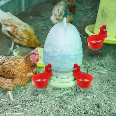 3+3 GRATIS | AquaNest – Frisches Wasser für glückliche Tiere