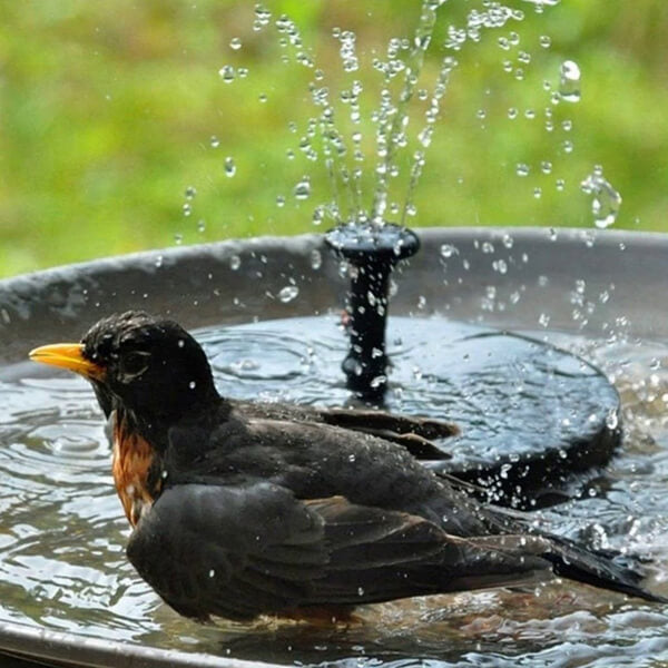 Solara™ - Perfekte Entspannung und Ruhe für Ihren Garten