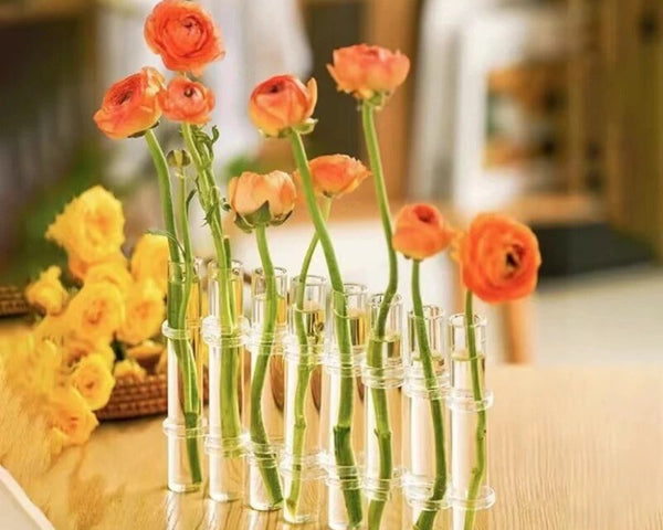 50% RABATT | MultiVase - Klappbare Röhrenblumenvase [Letzter Tag Rabatt]
