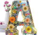 BloomGlow - Handgefertigte Blumen-Nachtlampe [Letzter Tag Rabatt]