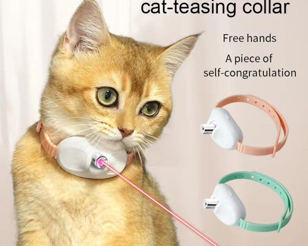 FurryFlash - Katze Halsband Laser Licht Spielzeug – Endloser Spaß für Ihre Katze