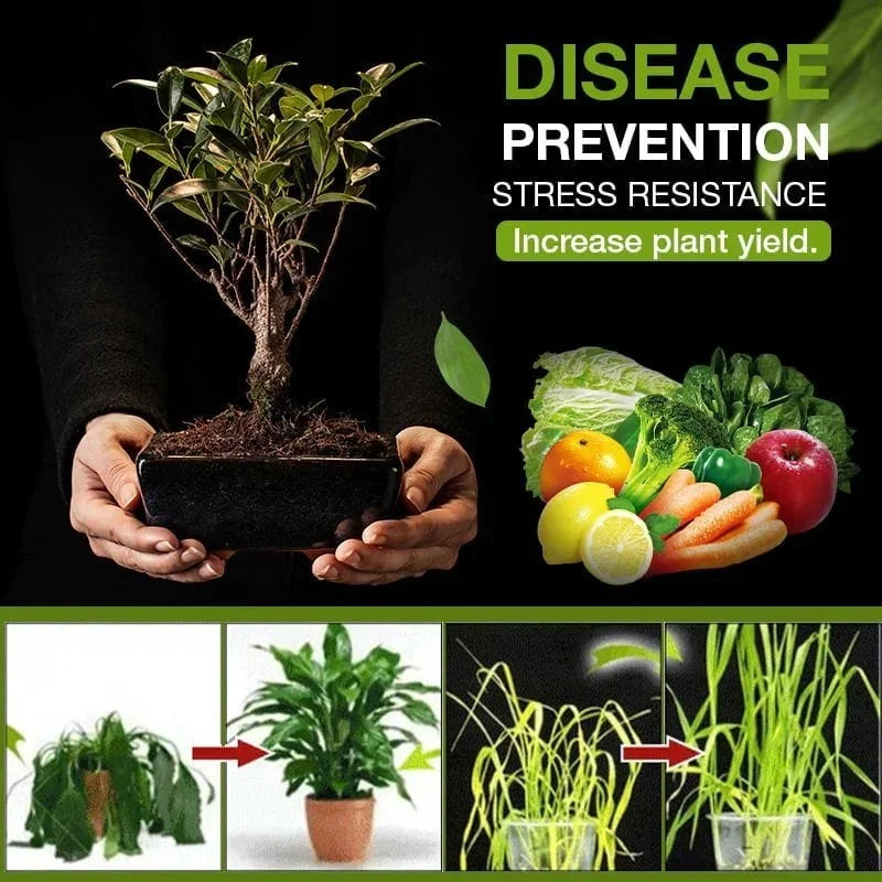 SoilActive™ - Effektiver Bodenaktivator