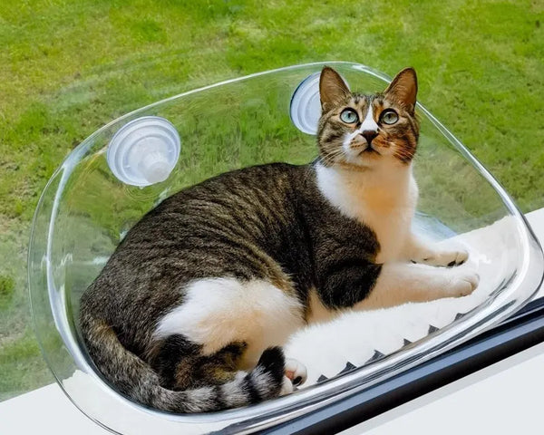 ViewNest - Ultimativer Komfort und Unterhaltung für Ihre Katze [Letzter Tag Rabatt]