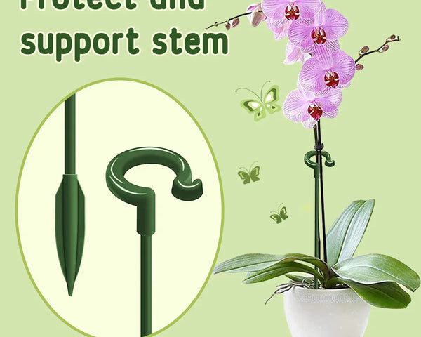 EasyStake™ – Perfekte Pflanzenstütze für Ihren Garten | 5+5 GRATIS!