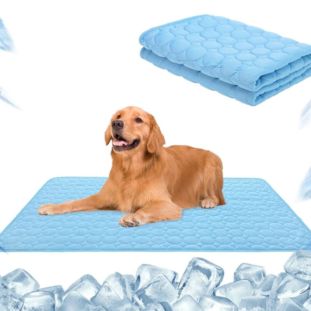 🐾 50% RABATT! ❄️ Premium Kühlmatte für Hunde & Katzen