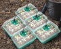 50% Rabatt | GrowPlant™ Seed Starter Trays mit Wachstumslicht