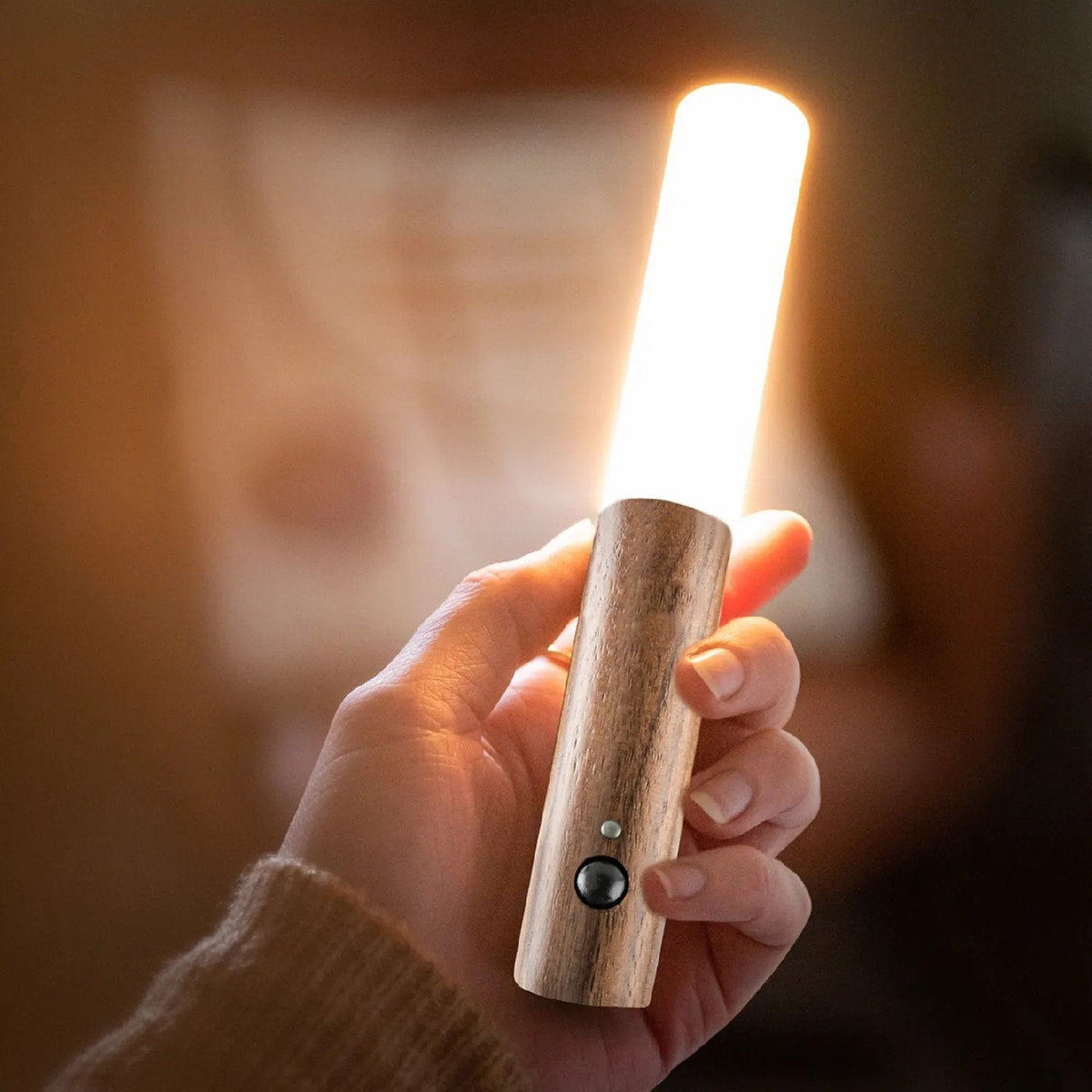 Aldorian™  💡Intelligente tragbare Wandleuchte mit Menschenkenntnis💡