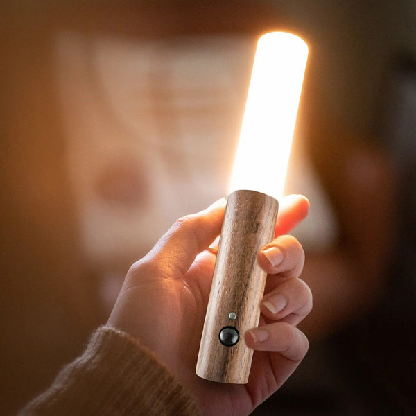 Aldorian™  💡Intelligente tragbare Wandleuchte mit Menschenkenntnis💡