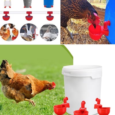 3+3 GRATIS | AquaNest – Frisches Wasser für glückliche Tiere