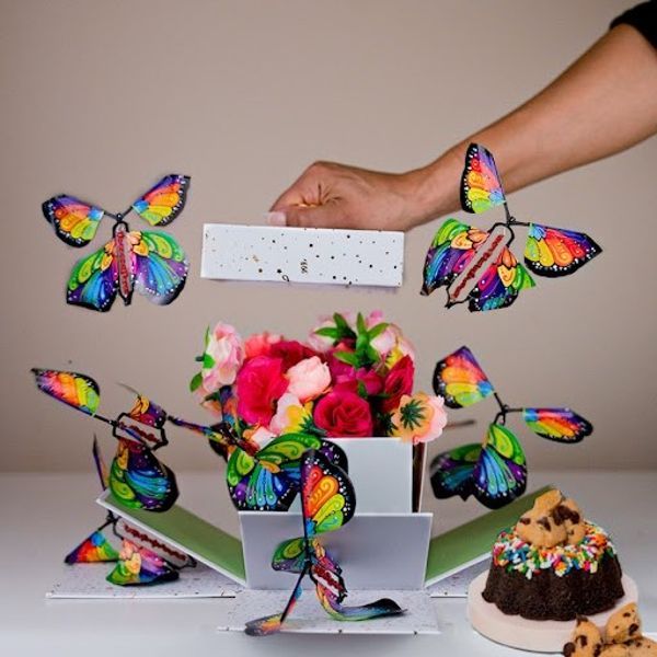 1+1 GRATIS HEUTE | FlyButterfly™