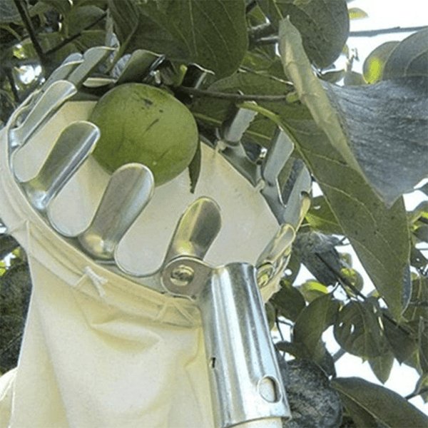 EasyFruit™ - Obstpflücker Kopf Korb (Durchmesser 16cm)