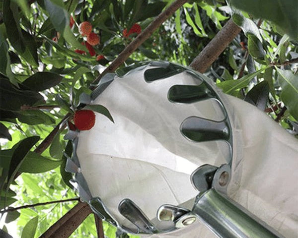 EasyFruit™ - Obstpflücker Kopf Korb (Durchmesser 16cm)