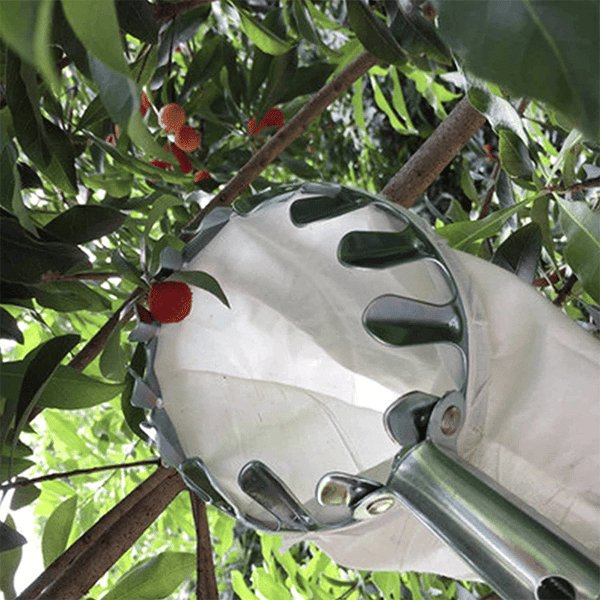 EasyFruit™ - Obstpflücker Kopf Korb (Durchmesser 16cm)