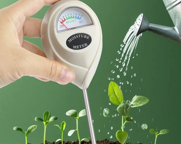 PlantGuard – Schluss mit falschem Gießen, mehr Blütenpracht