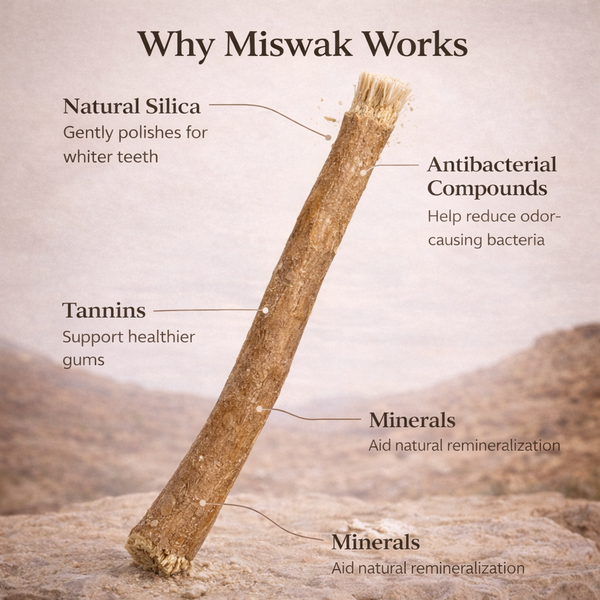 MiswaPure™ Natürliche Miswak-Zahnbürste – Zähne aufhellen, Plaque entfernen & Zahnfleisch stärken