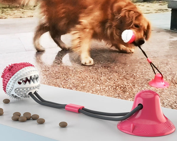BarkFun - Interaktives Hundespielzeug [Letzter Tag Rabatt]