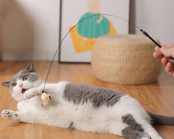 EasyCatch™ - Das interaktive Katzenspielzeugset für den natürlichen Jagdinstinkt! | 50% RABATT