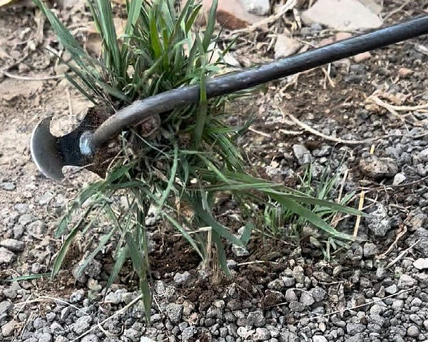 50% RABATT | WeedKiller - Handbuch Garten Unkrautstecher