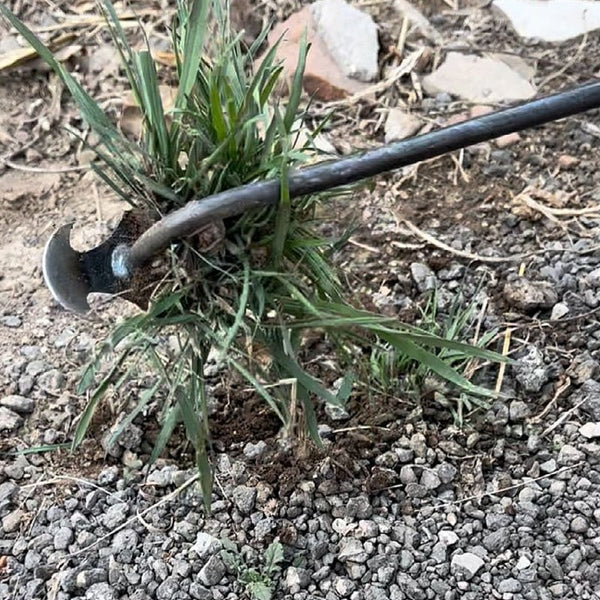 50% RABATT | WeedKiller - Handbuch Garten Unkrautstecher