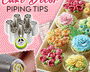 PipeDecor™ - Profi Tüllen für Tortendekoration | 4+4 GRATIS-Set!