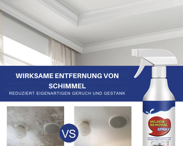 ClearMold - Spray zur Schimmelentfernung