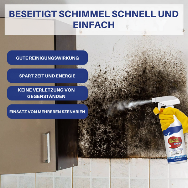 ClearMold - Spray zur Schimmelentfernung