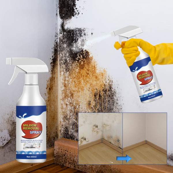 ClearMold - Spray zur Schimmelentfernung