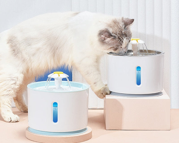 AquaFlow™ – Frisches, sauberes Wasser für dein Haustier!