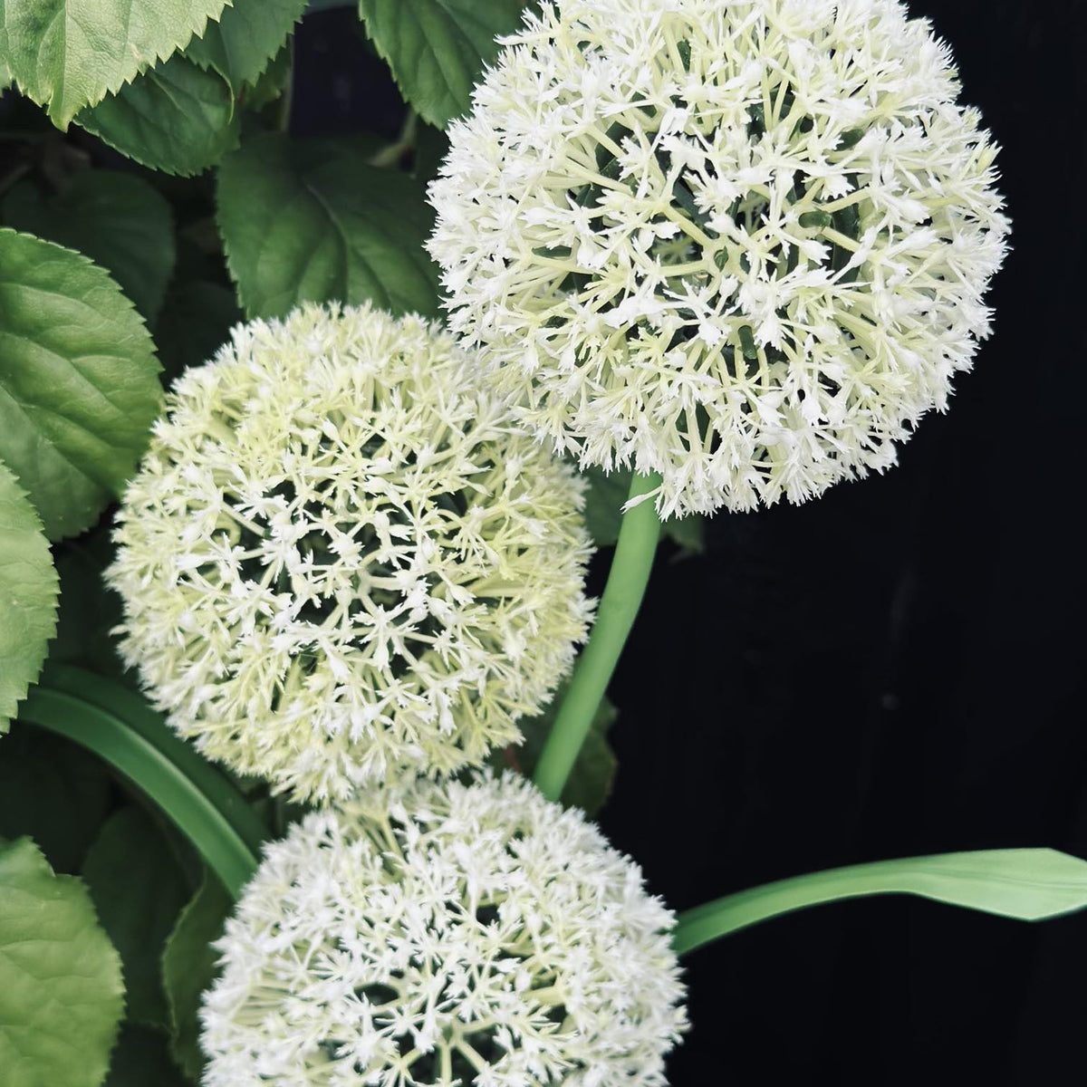 SolarBloom – Magisches Licht für Ihren Garten