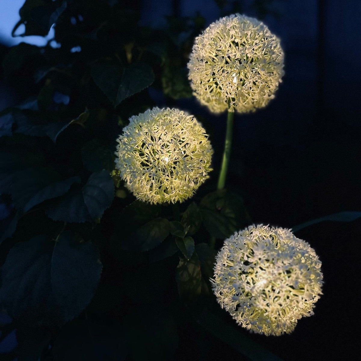 SolarBloom – Magisches Licht für Ihren Garten