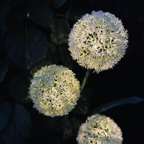 SolarBloom – Magisches Licht für Ihren Garten