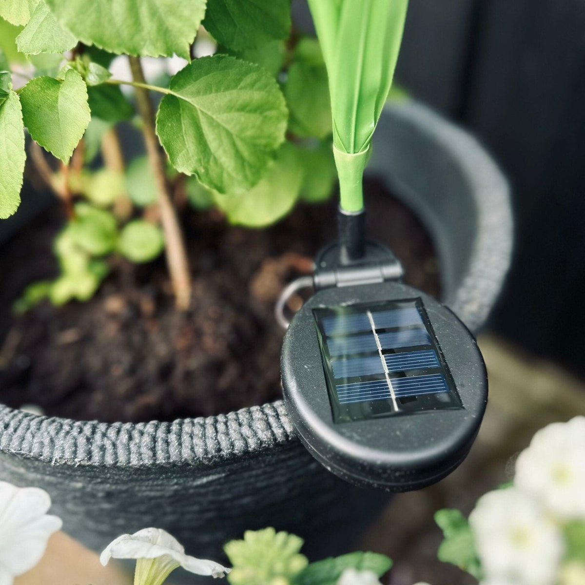 SolarBloom – Magisches Licht für Ihren Garten