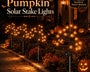 PumpkiGlow™ Solar-Gartenstecker – Leuchtende Kürbeldeko für magische Halloween-Abende