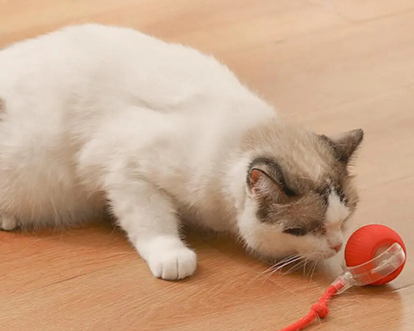 KittyTwirl™ | Interaktiver Spielball mit Schwanz für Katzen