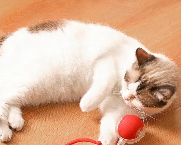KittyTwirl™ | Interaktiver Spielball mit Schwanz für Katzen
