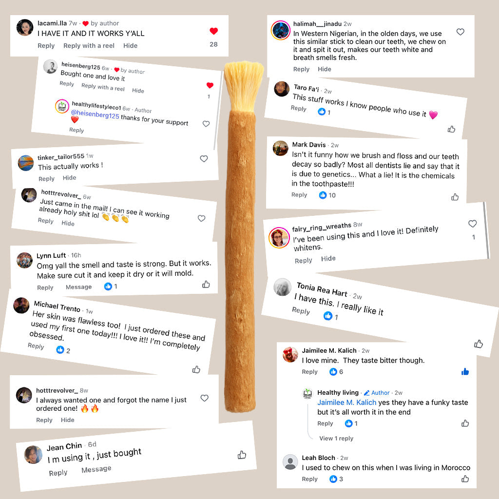 MiswaPure™ Natürliche Miswak-Zahnbürste – Zähne aufhellen, Plaque entfernen & Zahnfleisch stärken