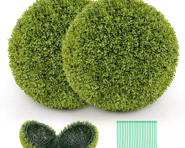 1+1 GRATIS | GreenSphere – Immergrüner Charme für Haus &amp; Garten
