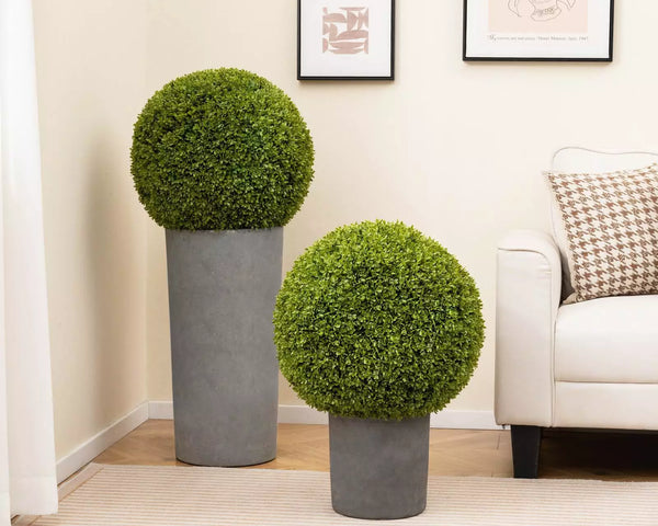 1+1 GRATIS | GreenSphere – Immergrüner Charme für Haus &amp; Garten