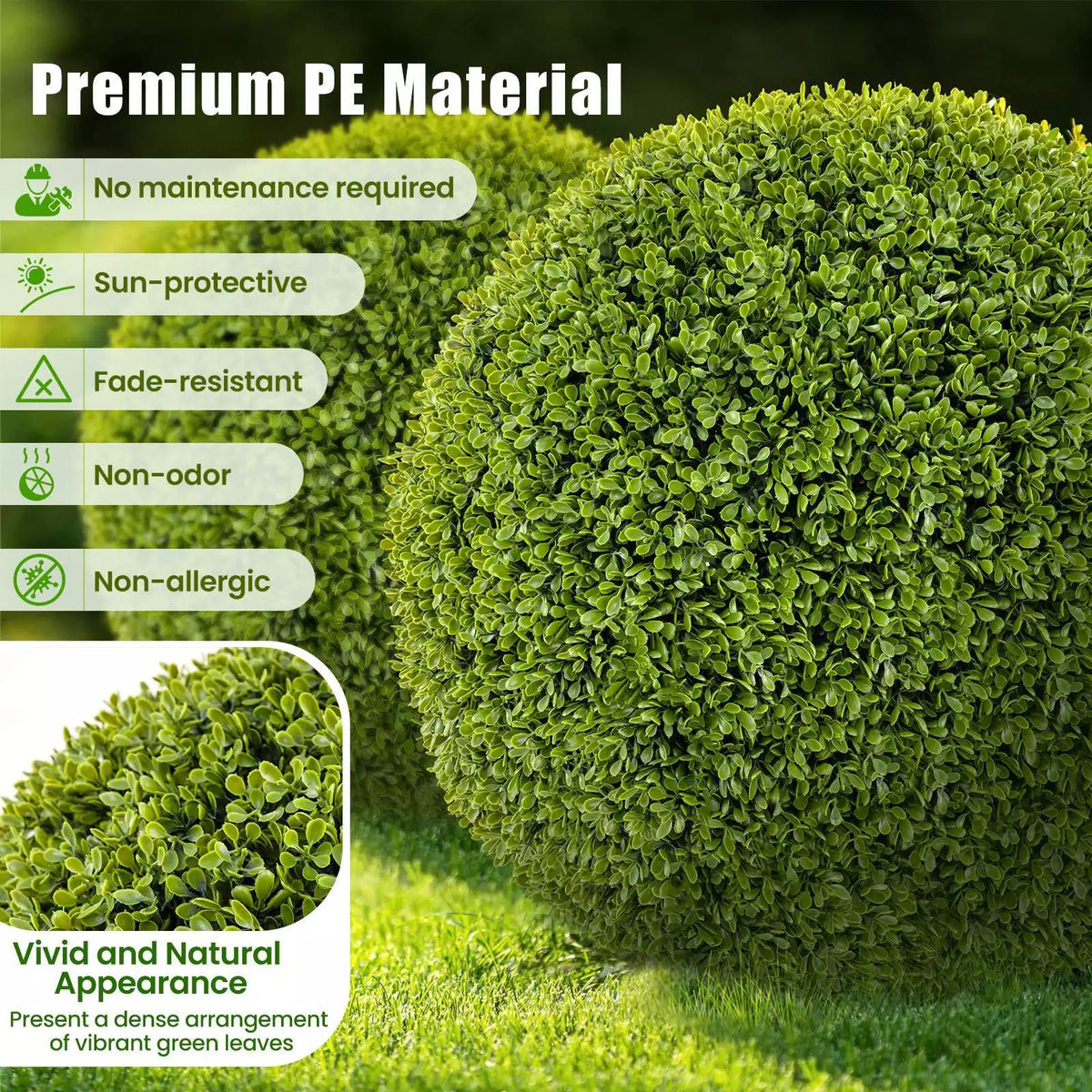 1+1 GRATIS | GreenSphere – Immergrüner Charme für Haus &amp; Garten