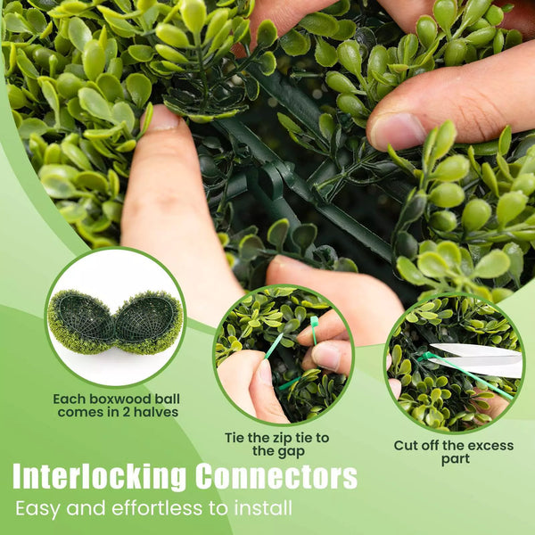 1+1 GRATIS | GreenSphere – Immergrüner Charme für Haus &amp; Garten