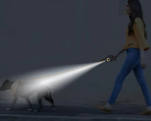 EasyLeash™ - Die perfekte Hundeleine für jede Situation!