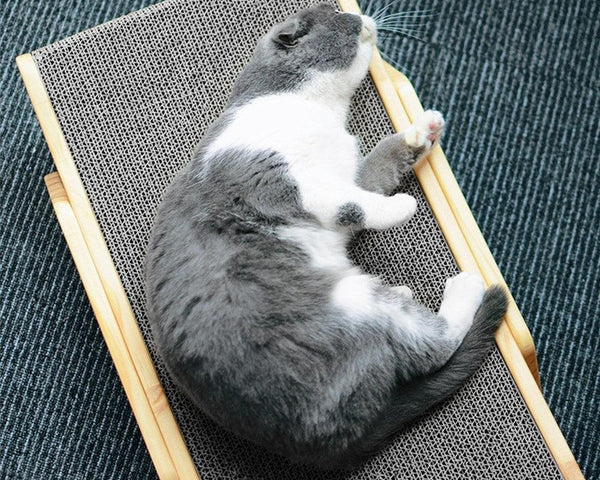 PurrPad™ Kratzkissen