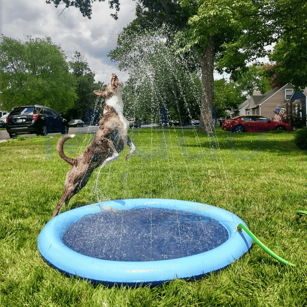 CoolPlay – Sommerlicher Wasserspaß für Hunde &amp; Kinder