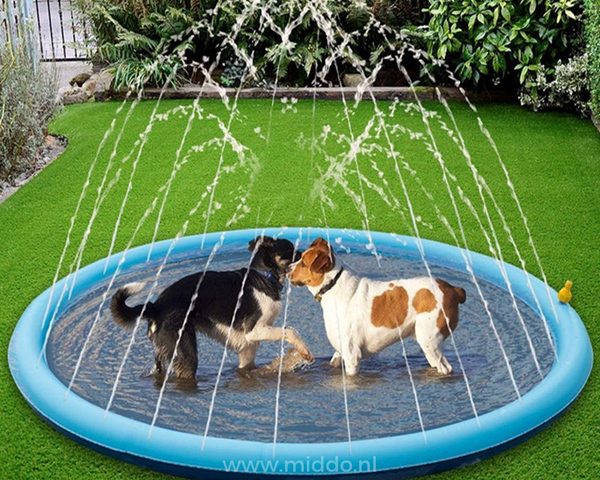 CoolPlay – Sommerlicher Wasserspaß für Hunde &amp; Kinder