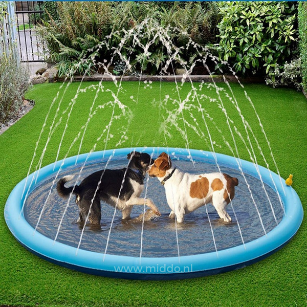 CoolPlay – Sommerlicher Wasserspaß für Hunde &amp; Kinder
