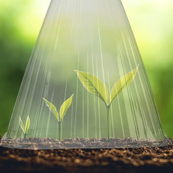 10+10 GRATIS | GrowGuard – Schutz & Wärme für gesunde Pflanzen