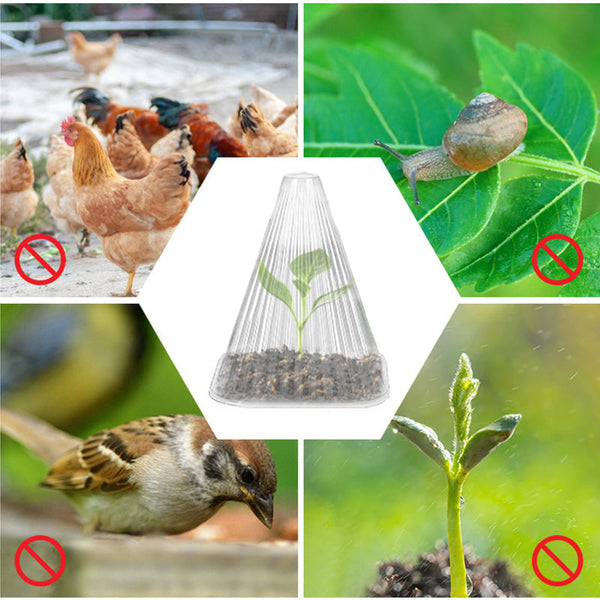 10+10 GRATIS | GrowGuard – Schutz & Wärme für gesunde Pflanzen