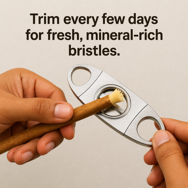 MiswaPure™ Natürliche Miswak-Zahnbürste – Zähne aufhellen, Plaque entfernen & Zahnfleisch stärken